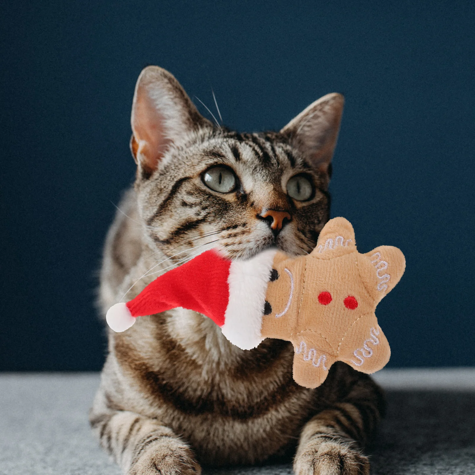 Плюшена кучешка играчка Gingerbread Man Shape Cat Christmas Hat Chew Catnip Играчки за котки Никнене на зъби Коте на закрито