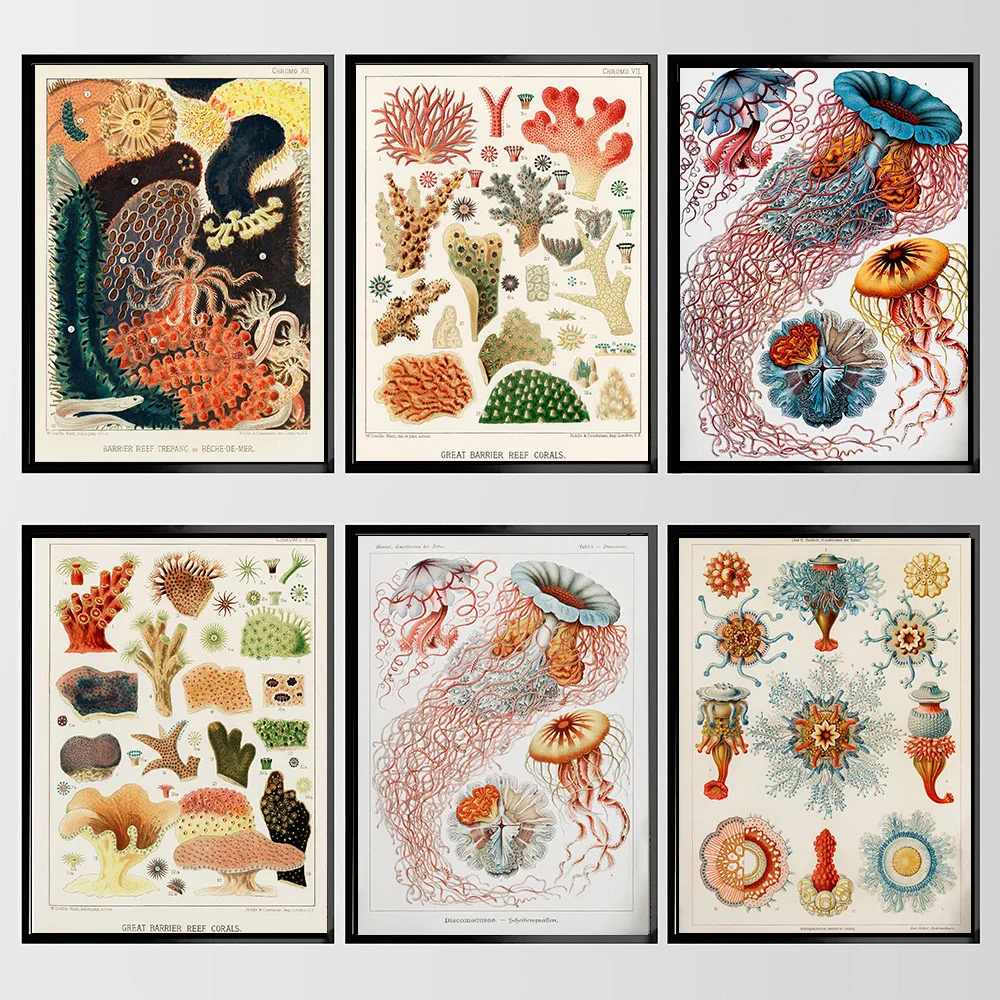 Реколта морски живот плакат печат омар медузи корали платно живопис стена изкуство картина наука плакат модерна кухня декор